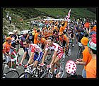 088 - TDF-Mayo a spol..jpg