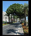 105 - Cannes.jpg