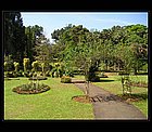 Kandy-19.jpg