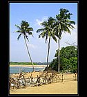 Kani-Lanka-09.jpg