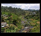 Nuwara Eliya-10.jpg