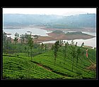 Nuwara-Eliya-16.jpg