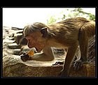 Sigiriya-08.jpg